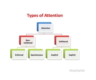 Types of attention