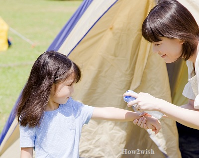 Insect repellents for picnic